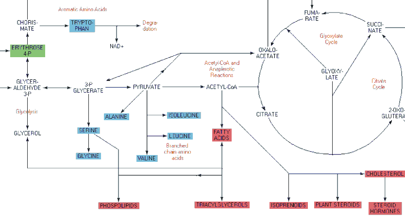 gd-biochemical.gif