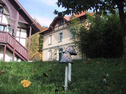 Waldhaus Jakob